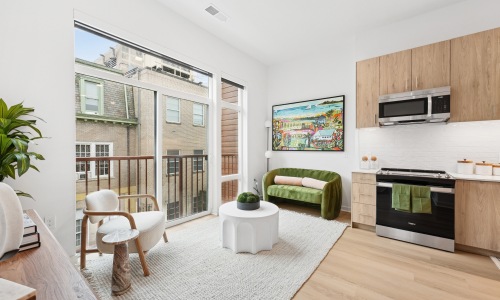 living and kitchen area